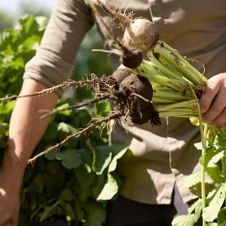 Otel Loj - Our Kind Of Place